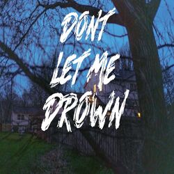 Cover of Don't Let Me Drown