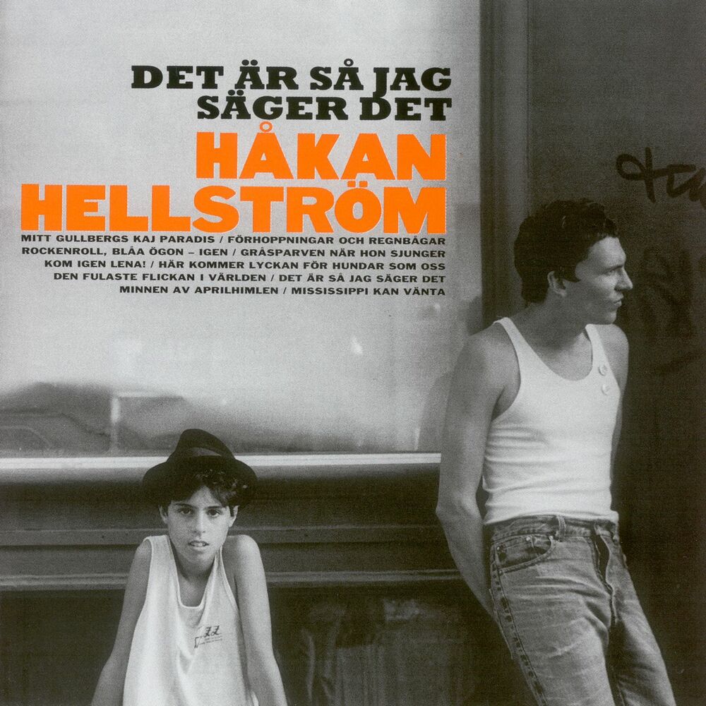 Picture of Det är så jag säger det
