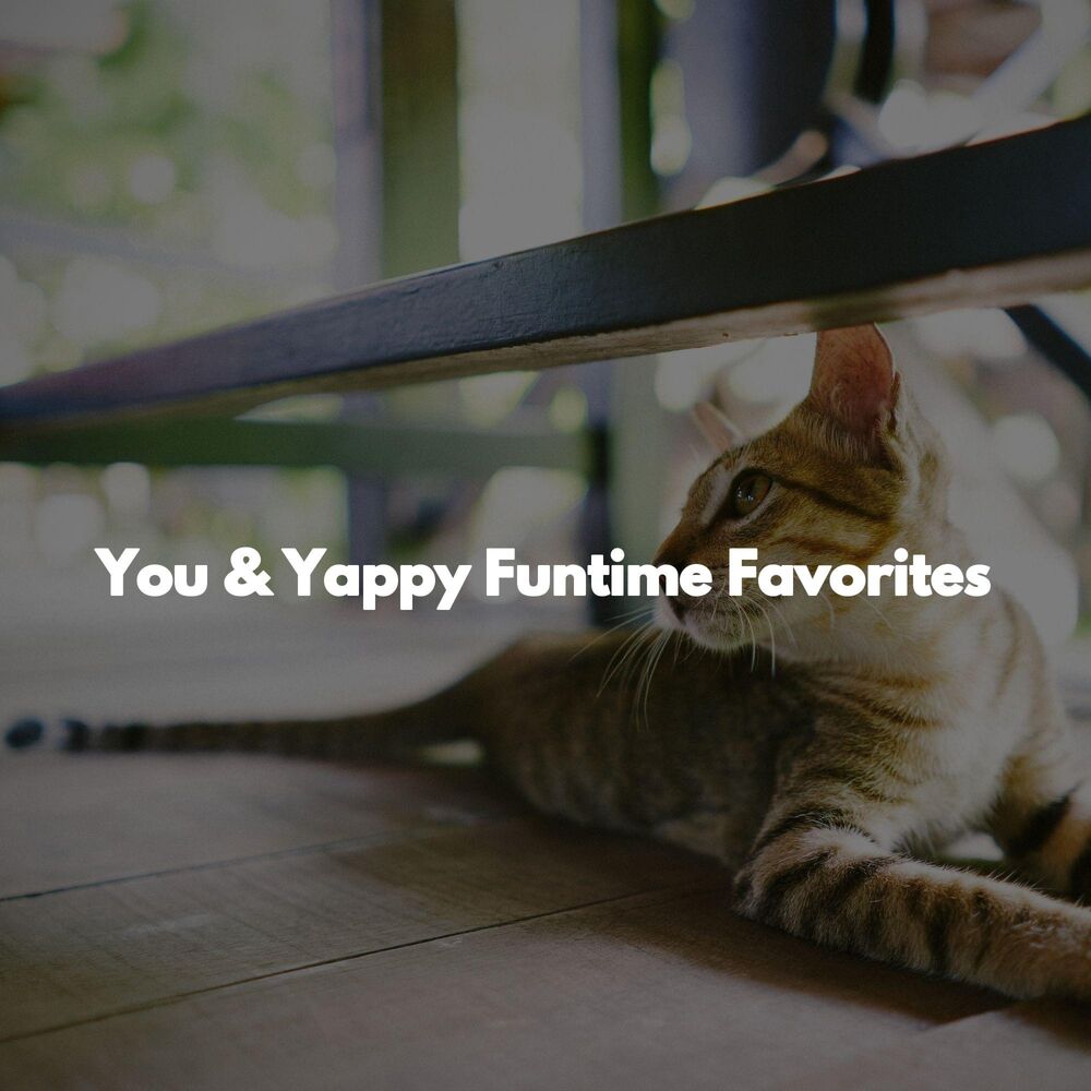 Picture of You & Yappy Funtime Favorites