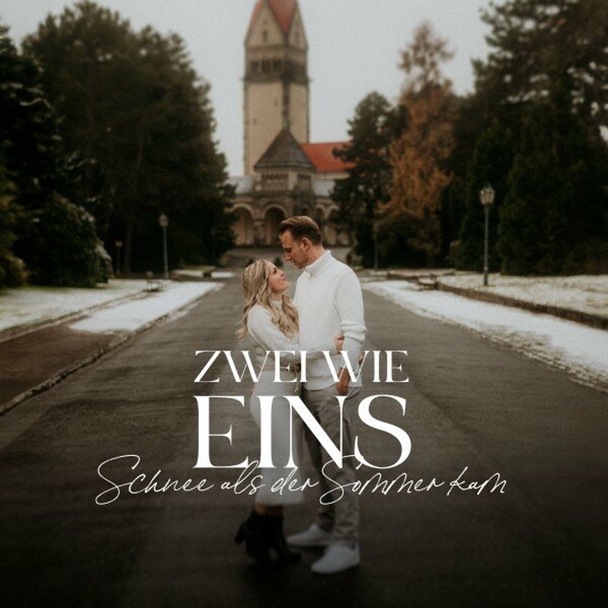Album cover of Schnee als der Sommer kam