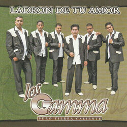 Cover of Ladrón De Tu Amor