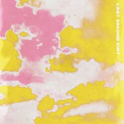 Cover of Last Second Dirt