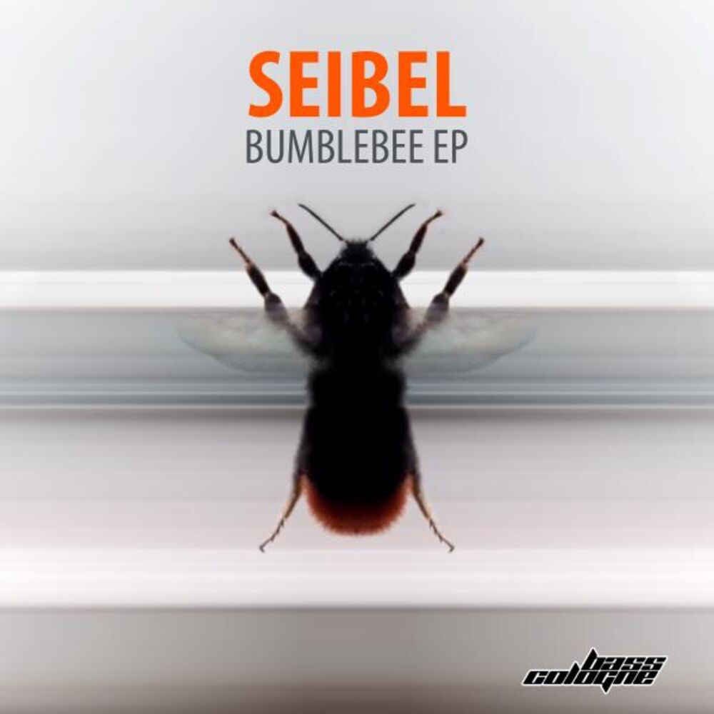 Picture of Bumblebee - EP