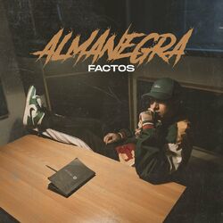 Cover of Factos