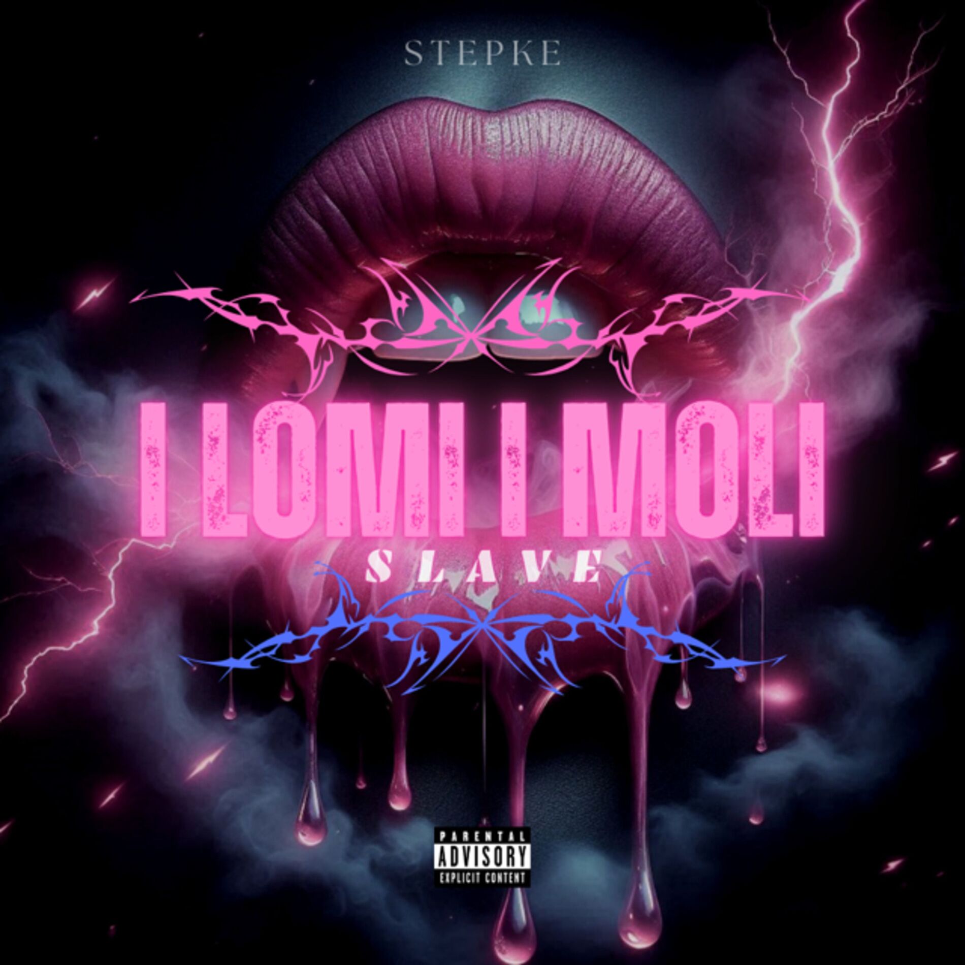 Album cover of I lomi i moli