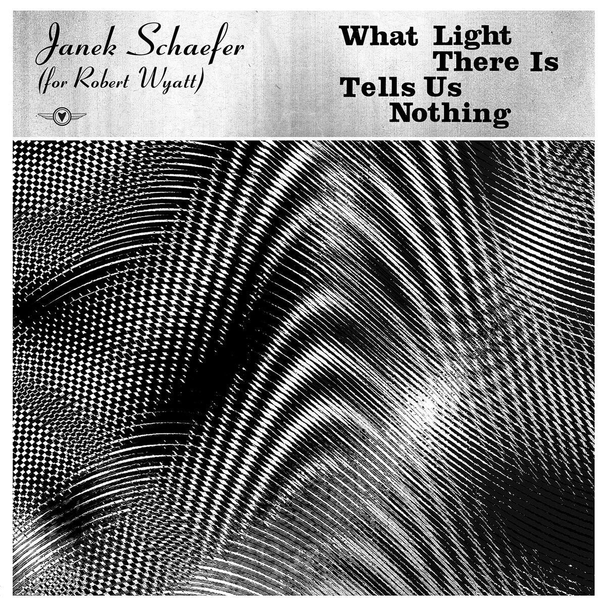 Album cover of What Light There Is Tells Us Nothing