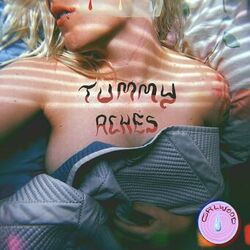 Cover of Tummy Aches