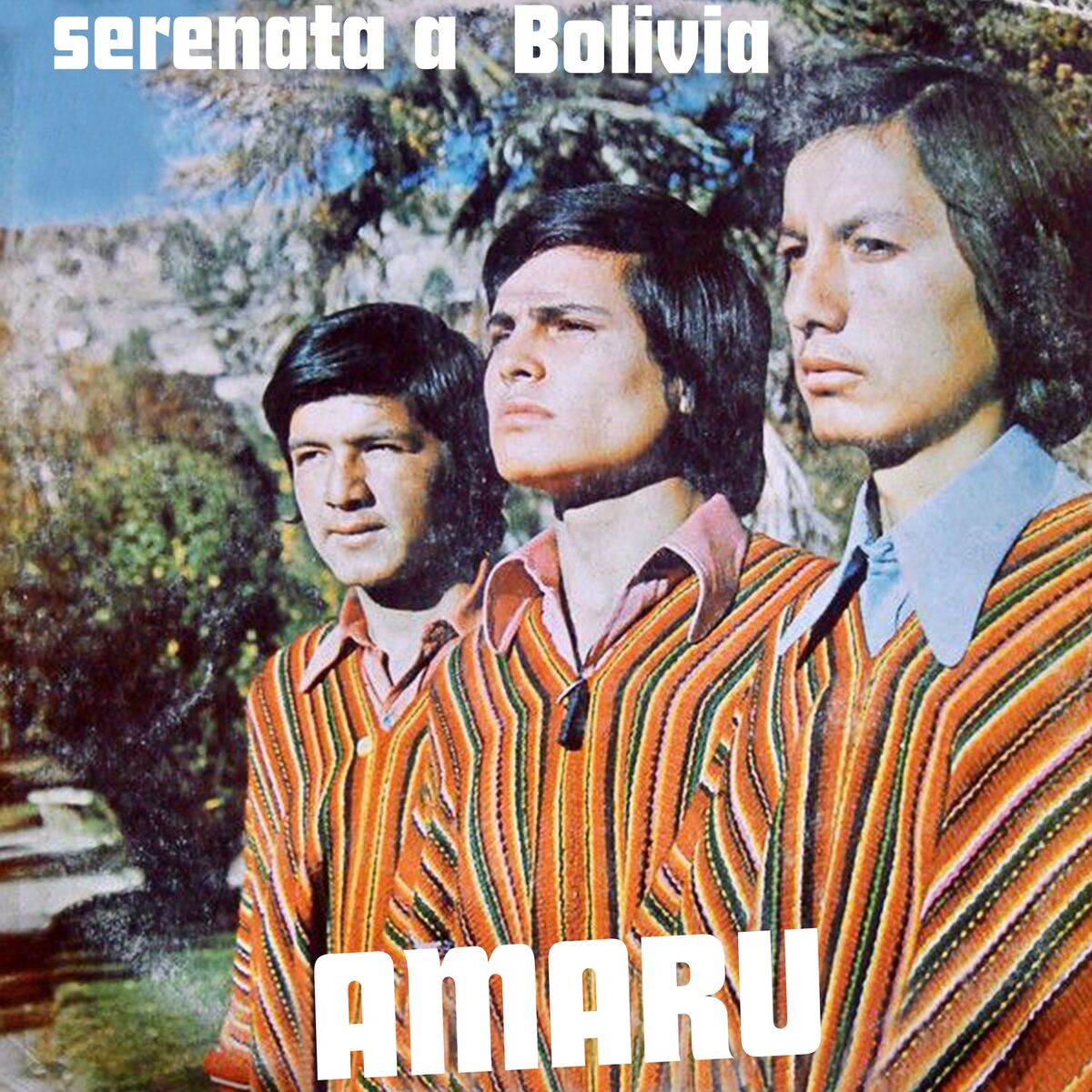 Album cover of Serenata A Bolivia