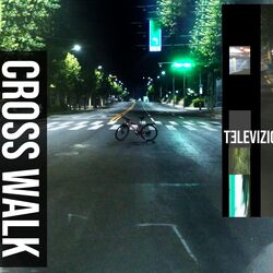 Cover of televizion