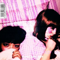 Cover of stereo love 2014