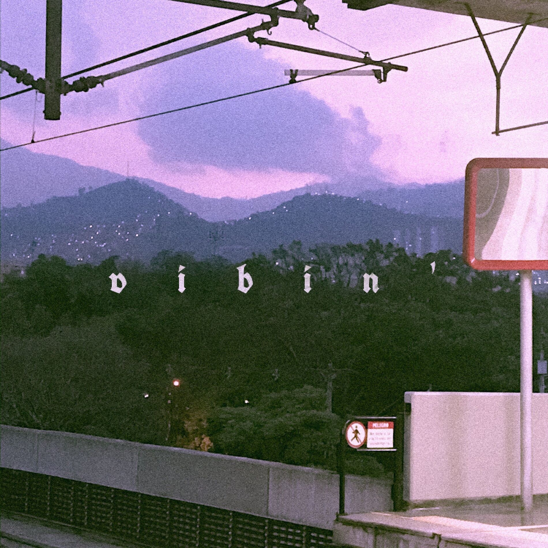 Album cover of Vibing