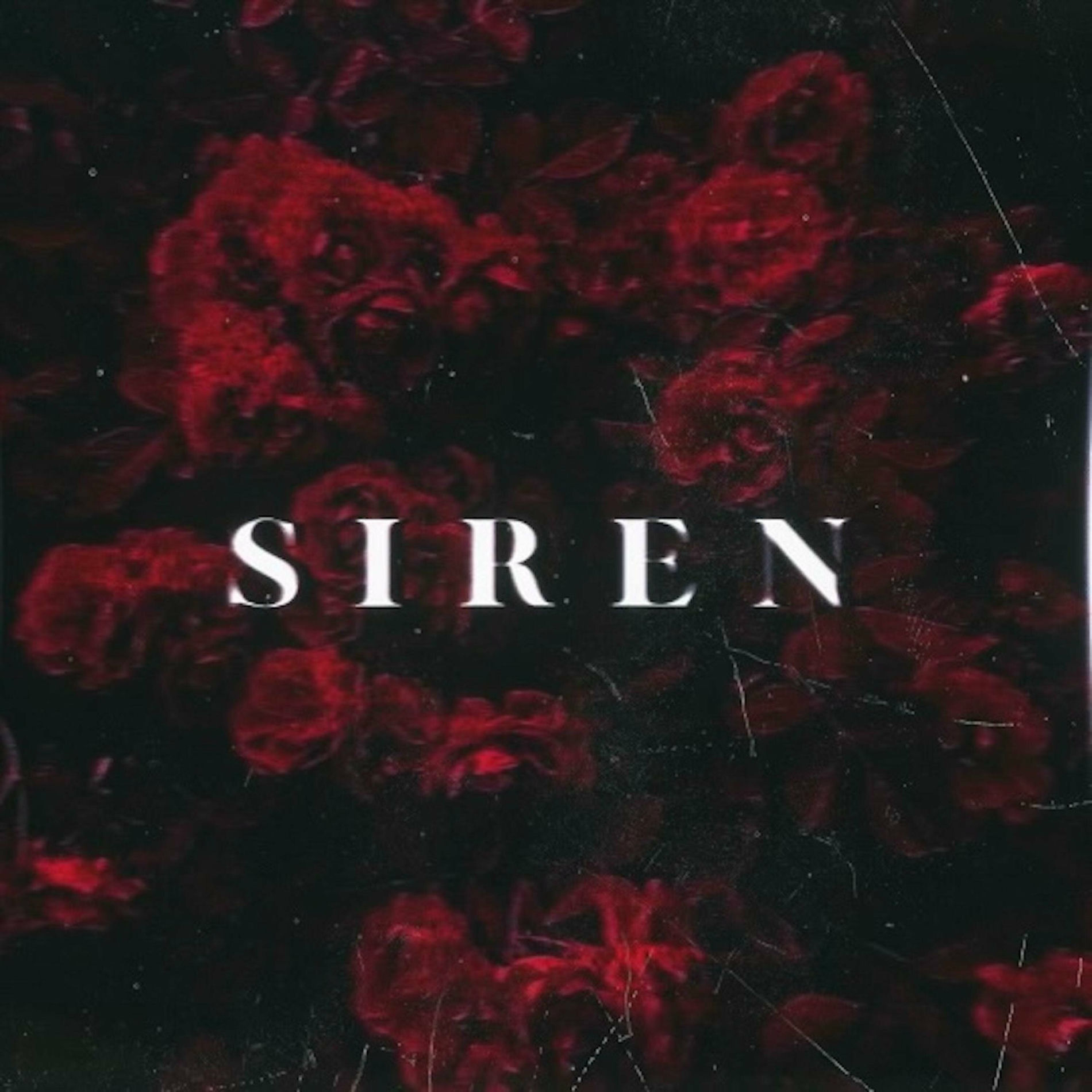 Album cover of Siren