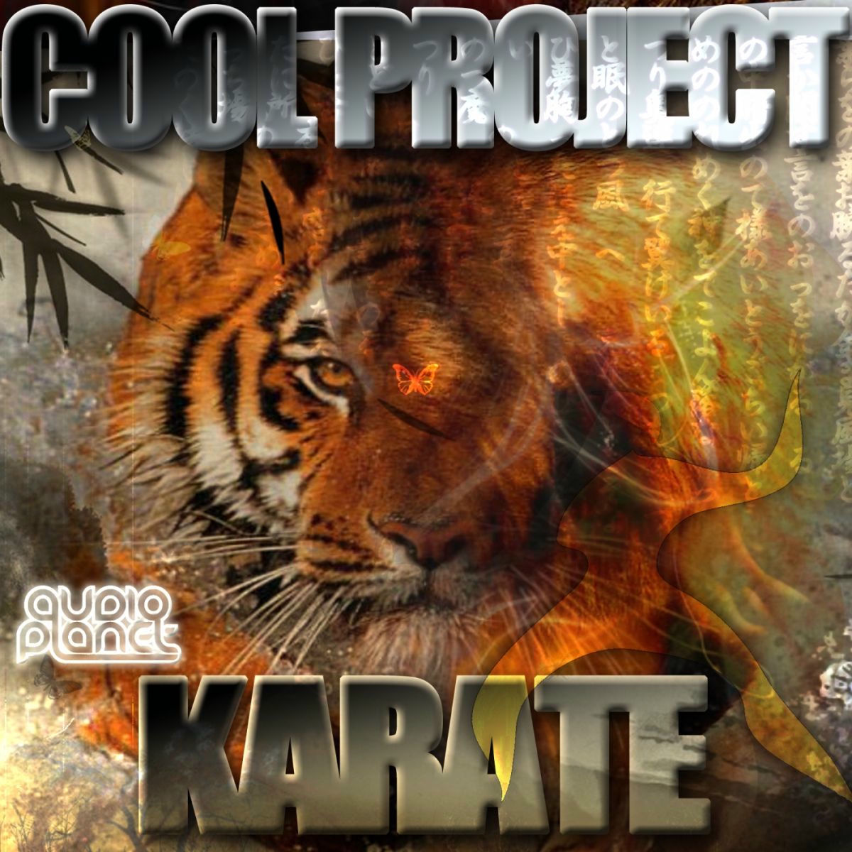 Album cover of Karate