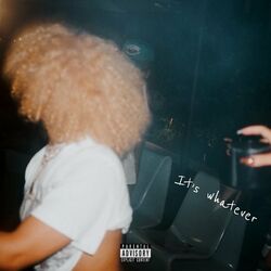 Cover of It's Whatever