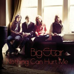Cover of Nothing Can Hurt Me
