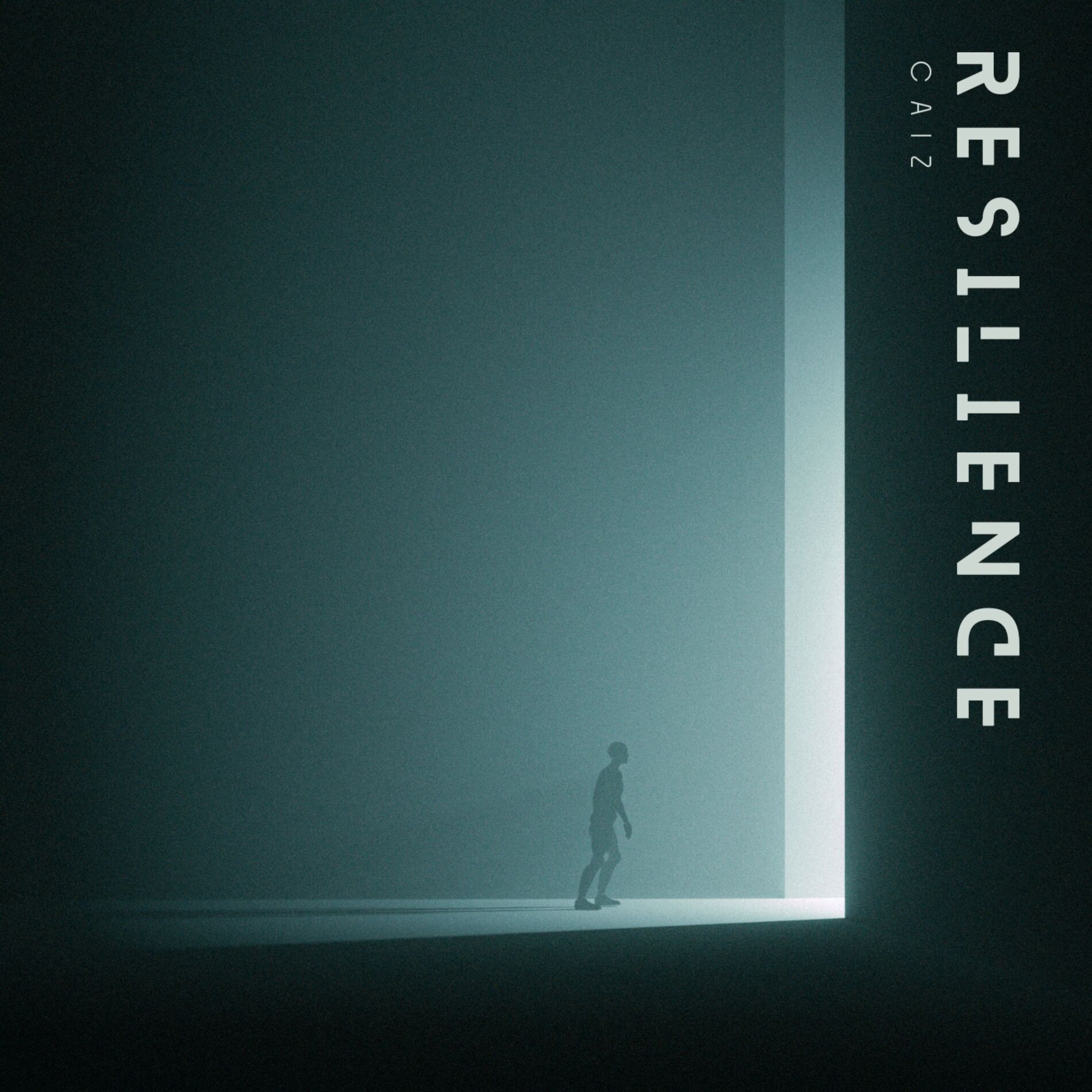 Album cover of Resilience