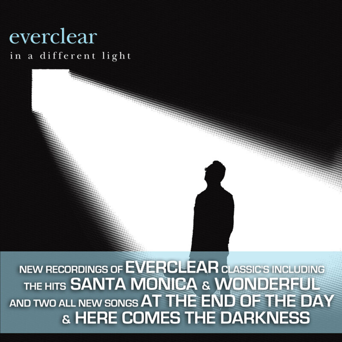 Album cover of In A Different Light