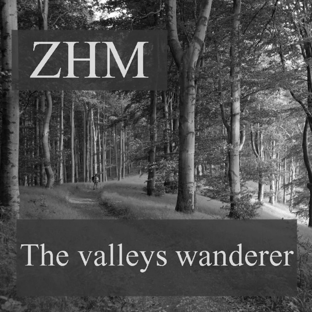 Picture of The valleys wanderer