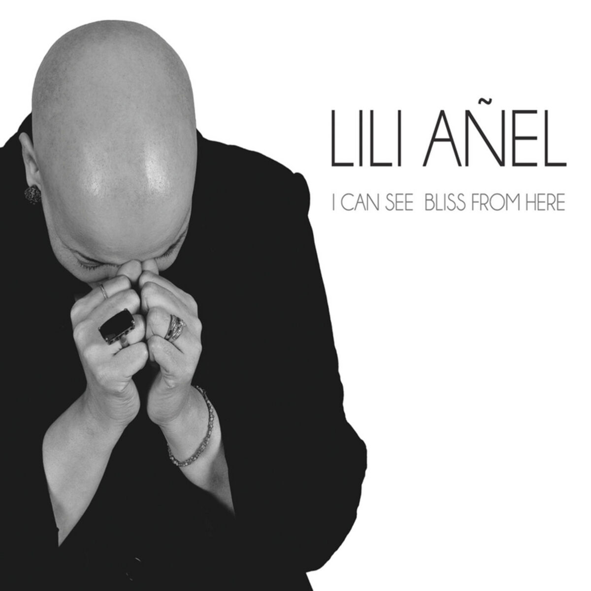 Album cover of I Can See Bliss from Here