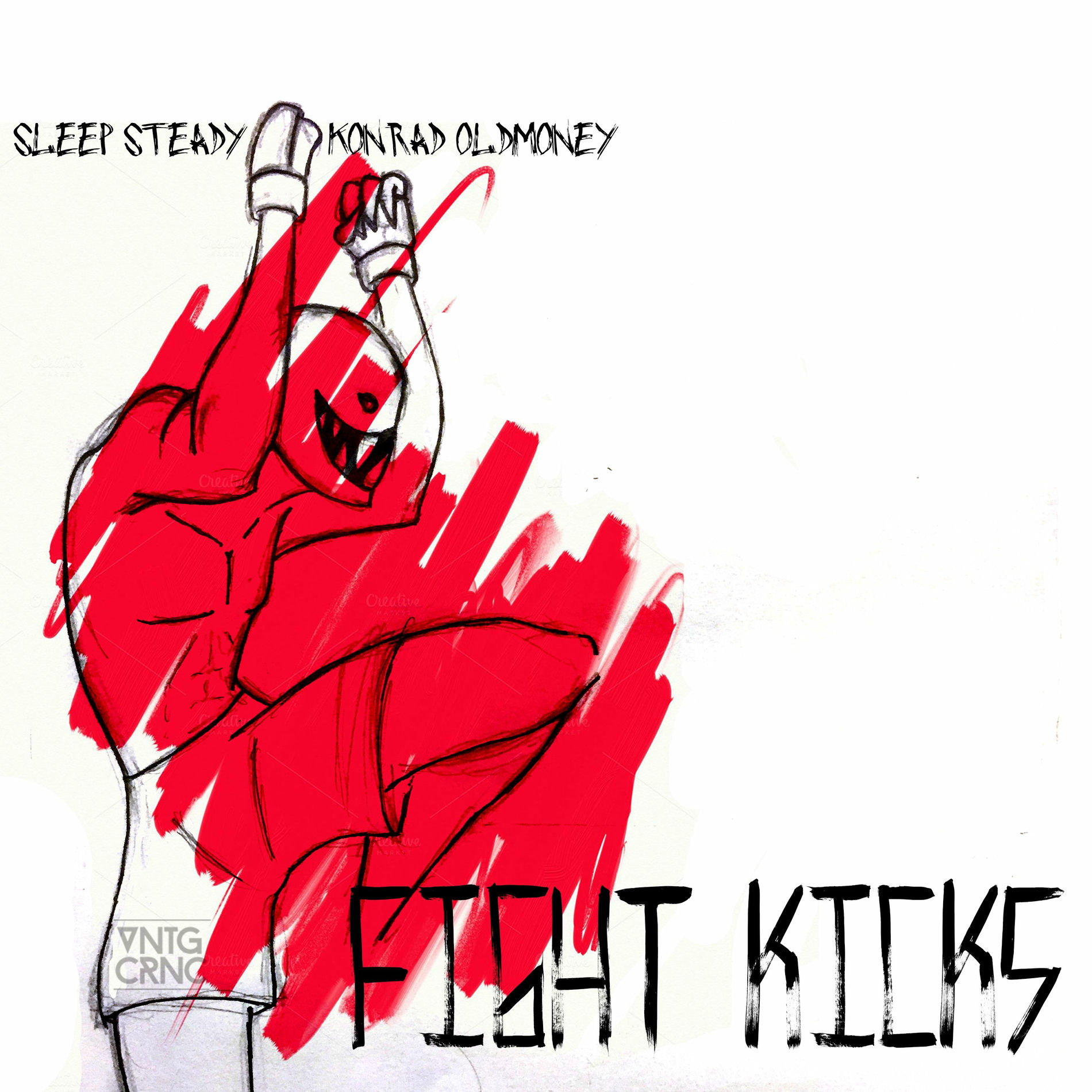 Album cover of Fight Kicks