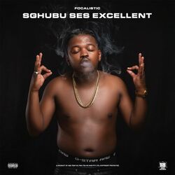 Cover of Sghubu Ses Excellent