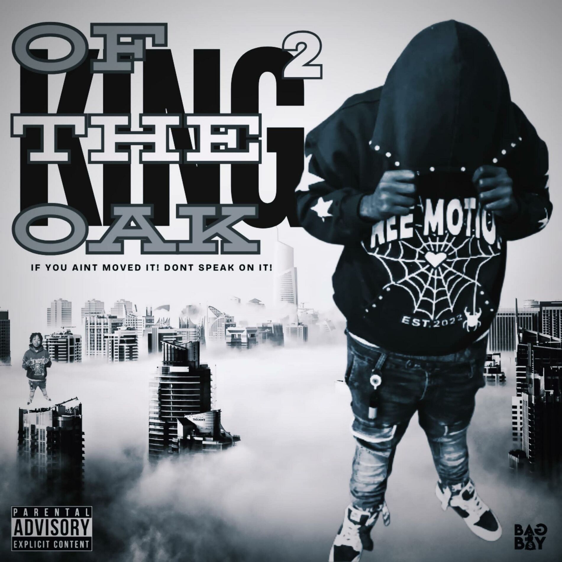 Album cover of King of the oak 2