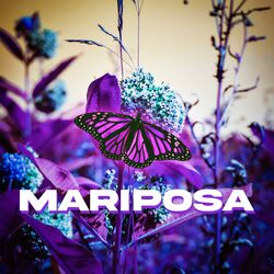 Cover of Mariposa