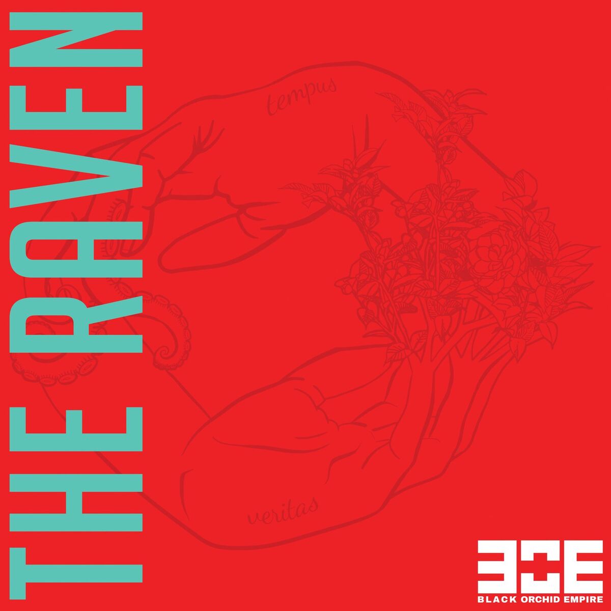 Album cover of The Raven