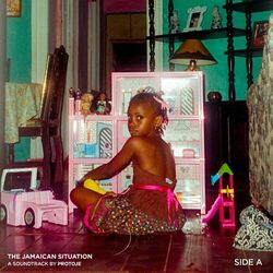 Cover of The Jamaican Situation