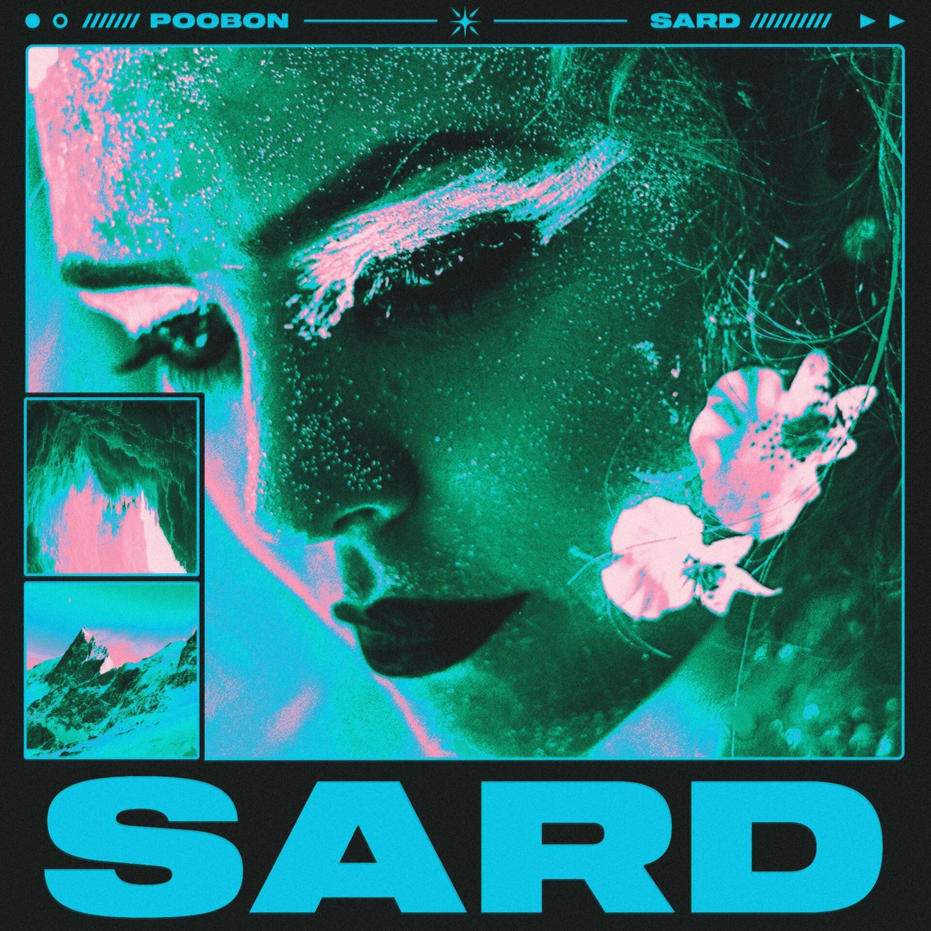 Album cover of SARD