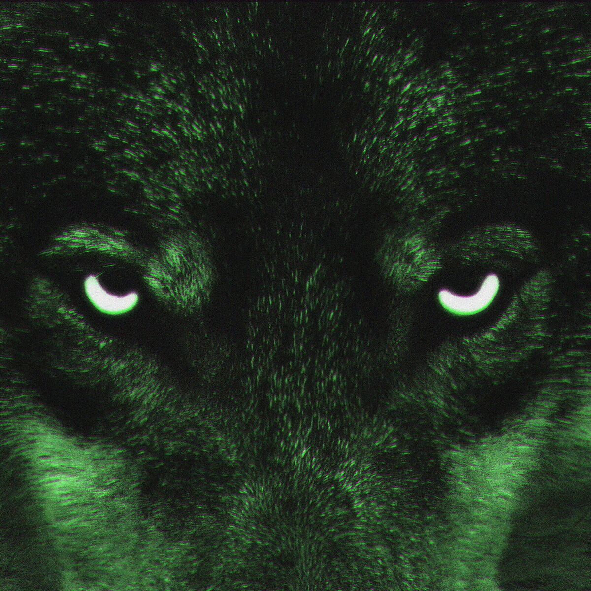 Album cover of WOLVES
