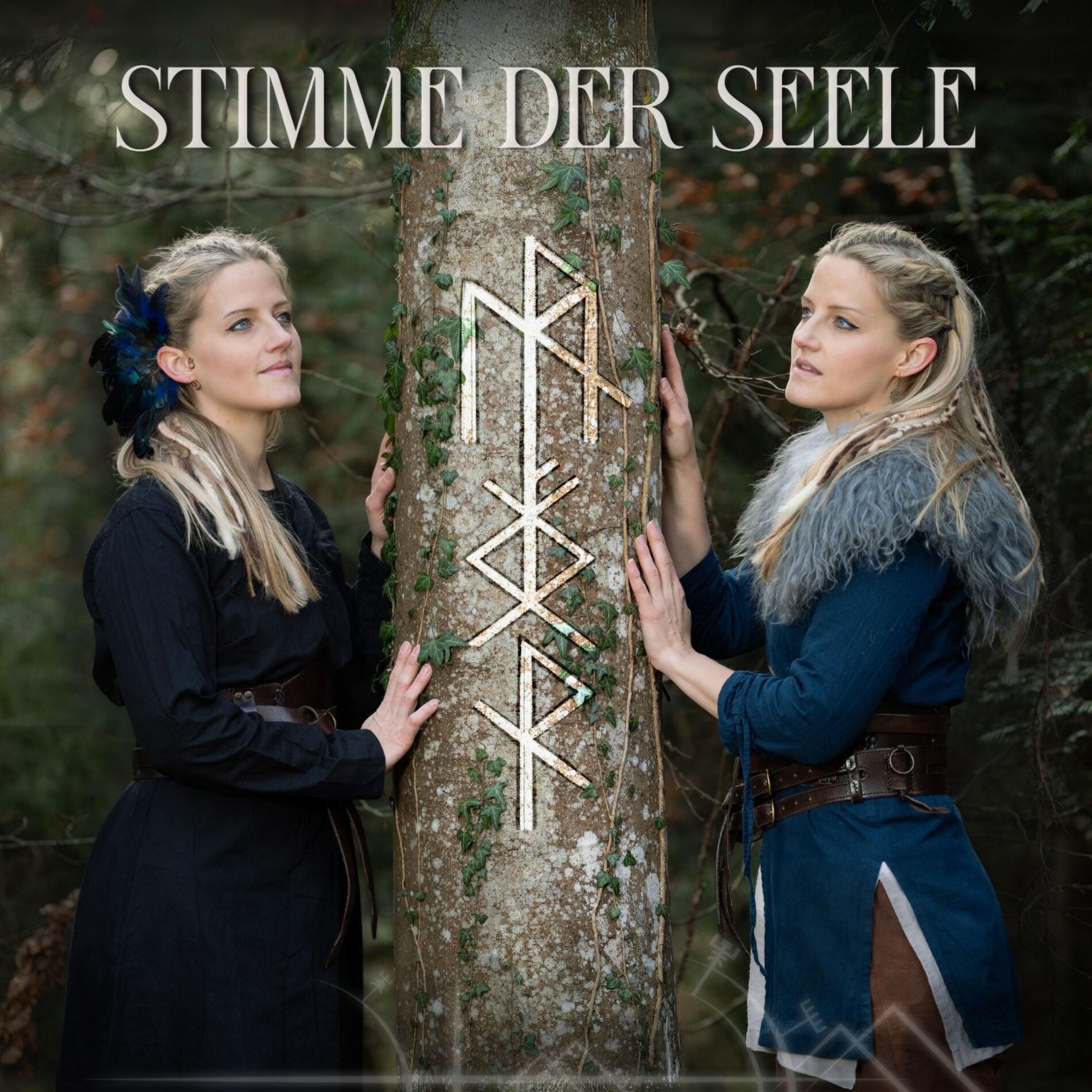 Album cover of Brüder im Sturm