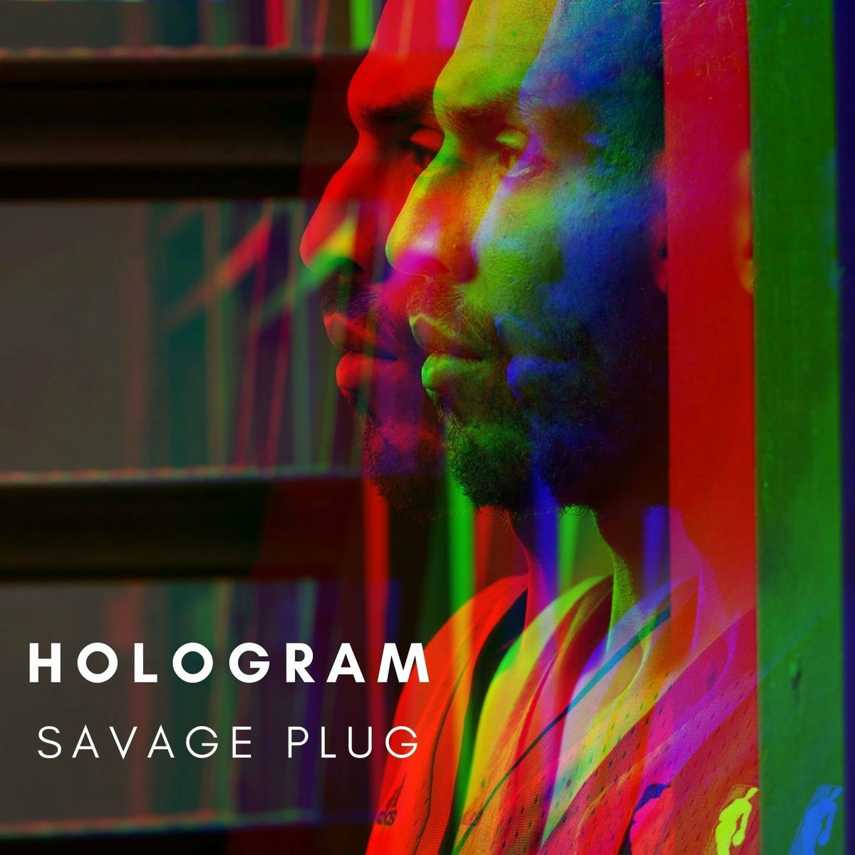 Album cover of Hologram