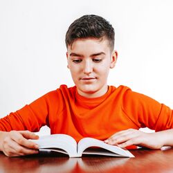 Reflective Study Haven: A Gentle Soundscape for Academic Tranquility