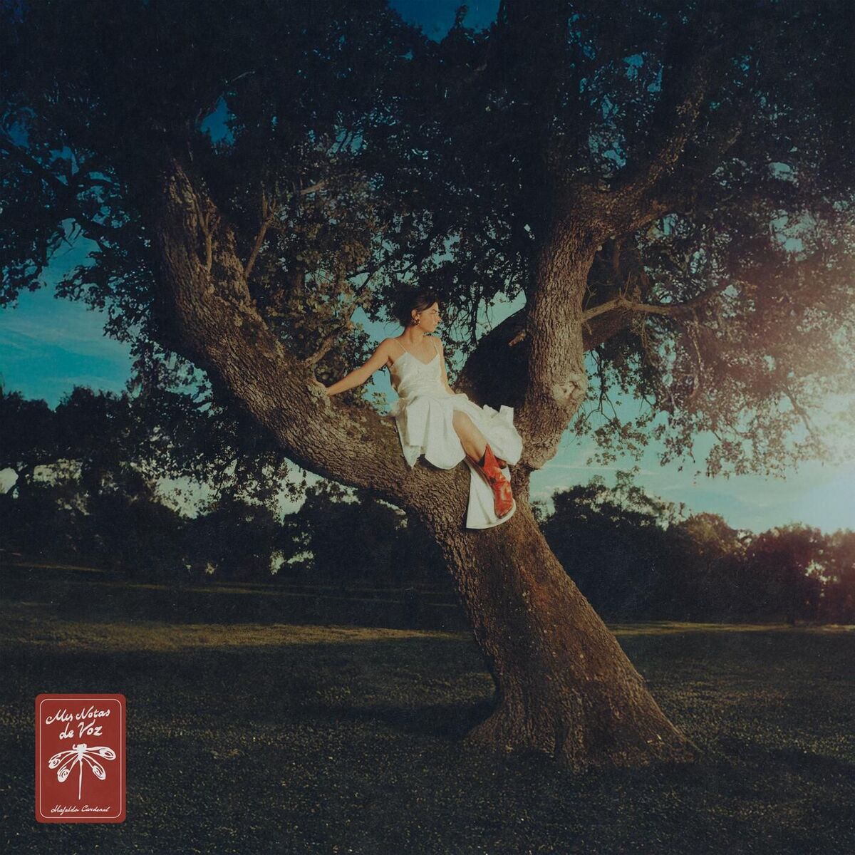 Album cover of mi chico