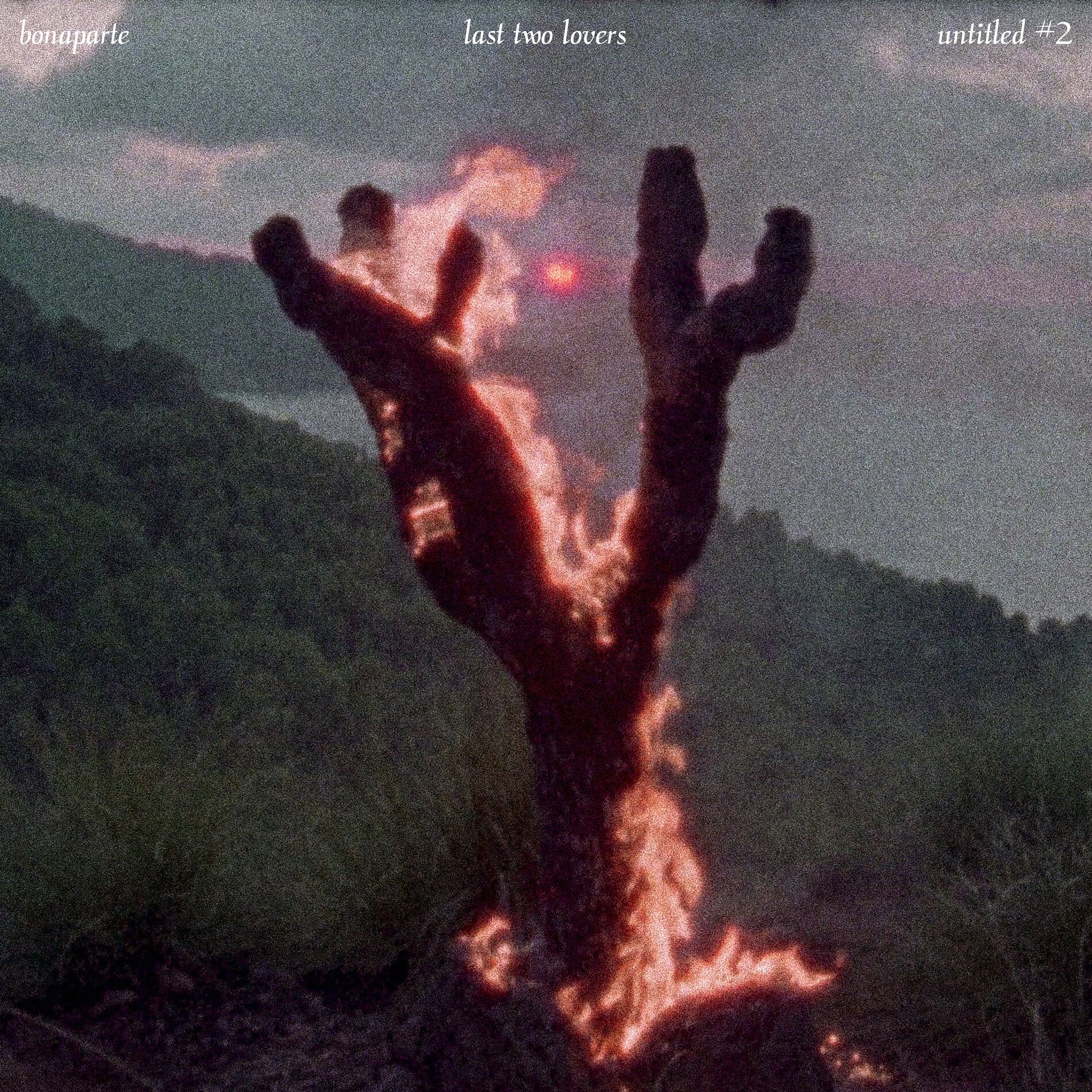 Album cover of Last Two Lovers / Untitled #2