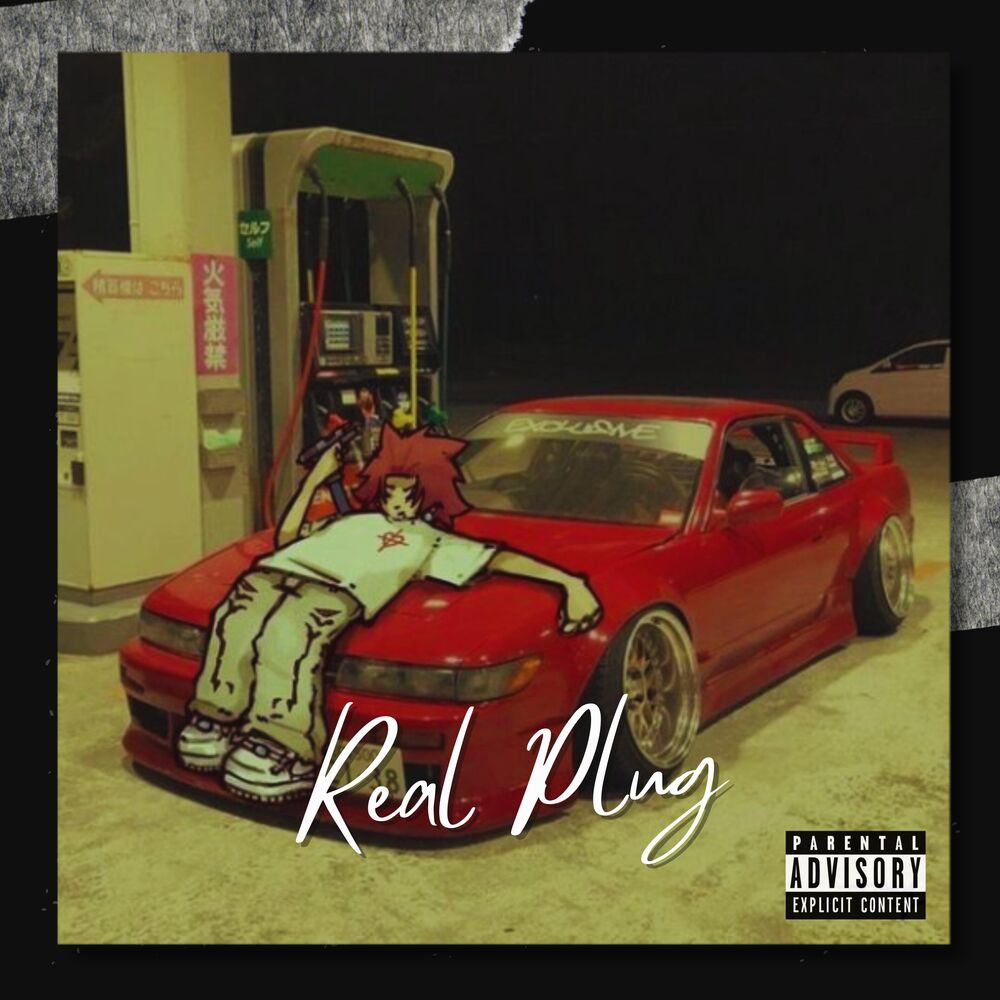 Picture of Real Plug