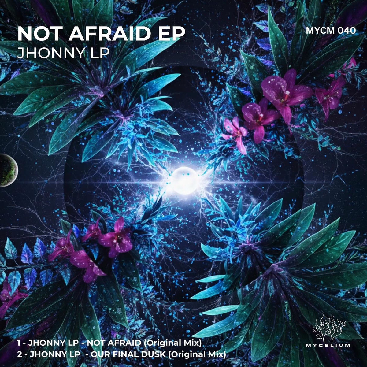 Album cover of Not Afraid