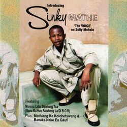 Cover of Introducing Sinky