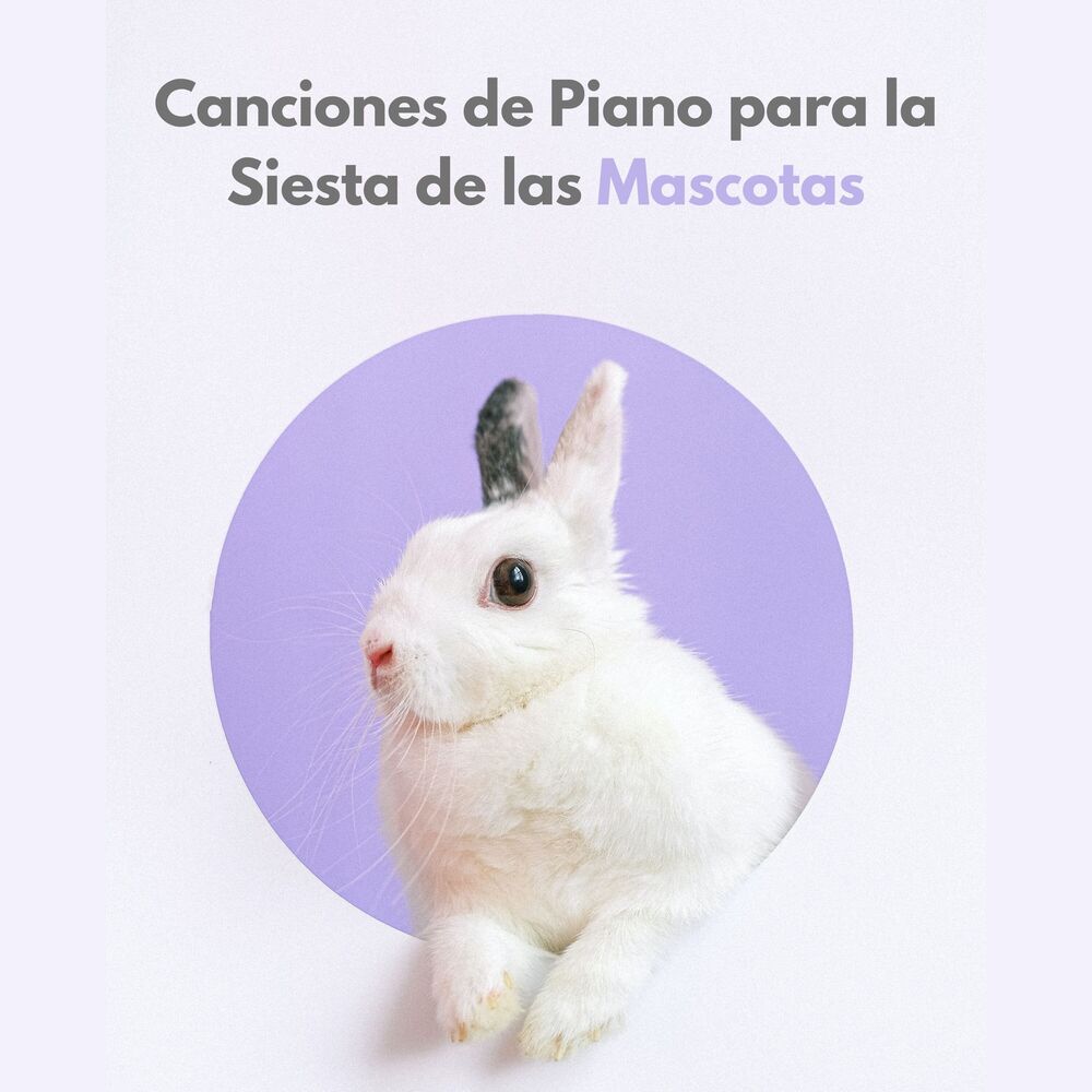 Picture of Canciones De Piano Para La Siesta De Las Mascotas