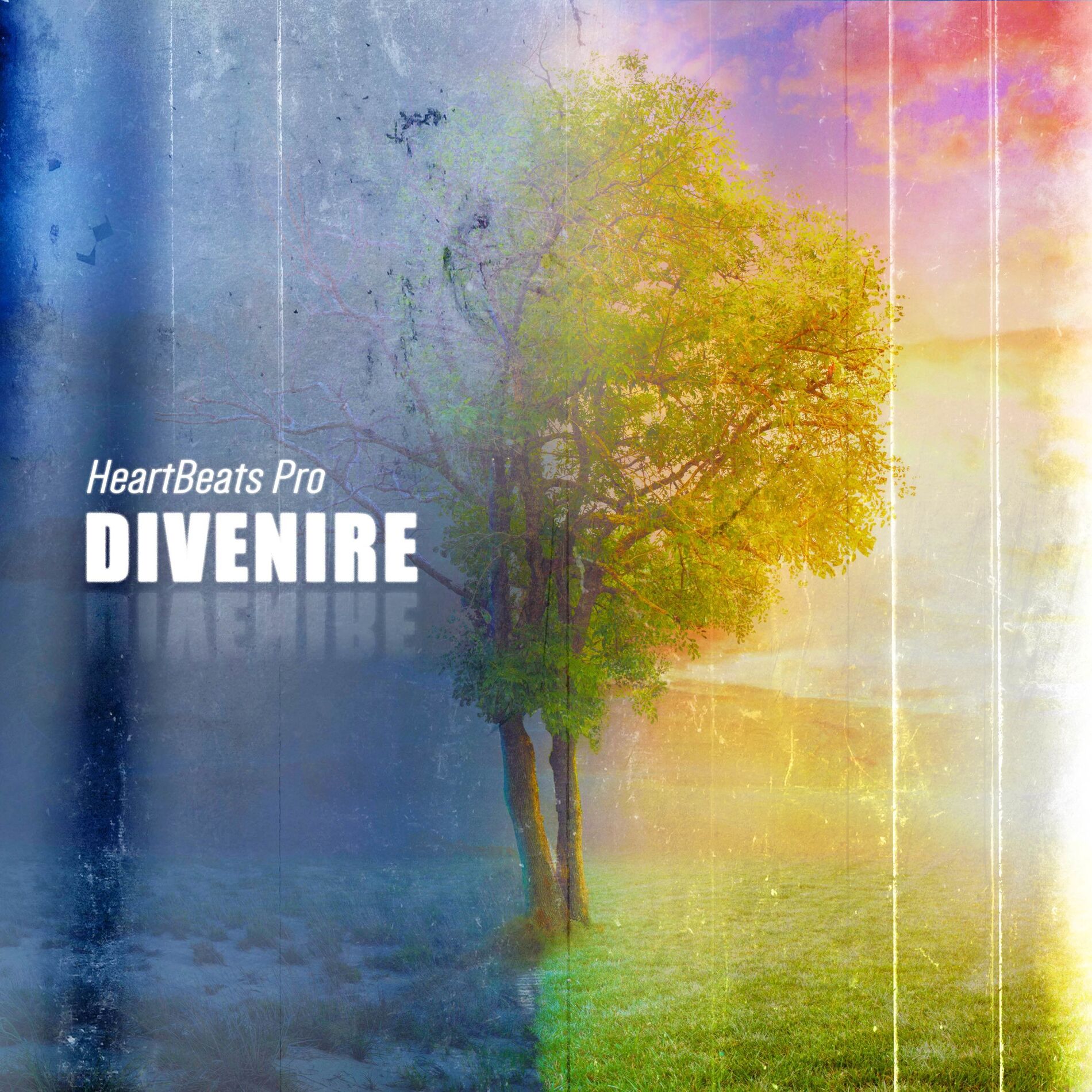 Album cover of Divenire (HeartBeats Pro Version)