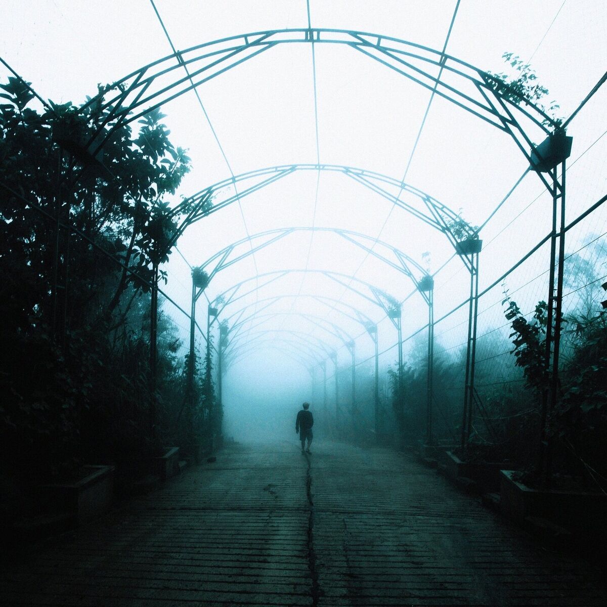Album cover of losing myself