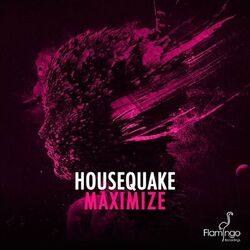 Cover of Maximize