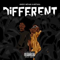 Cover of DIFFERENT