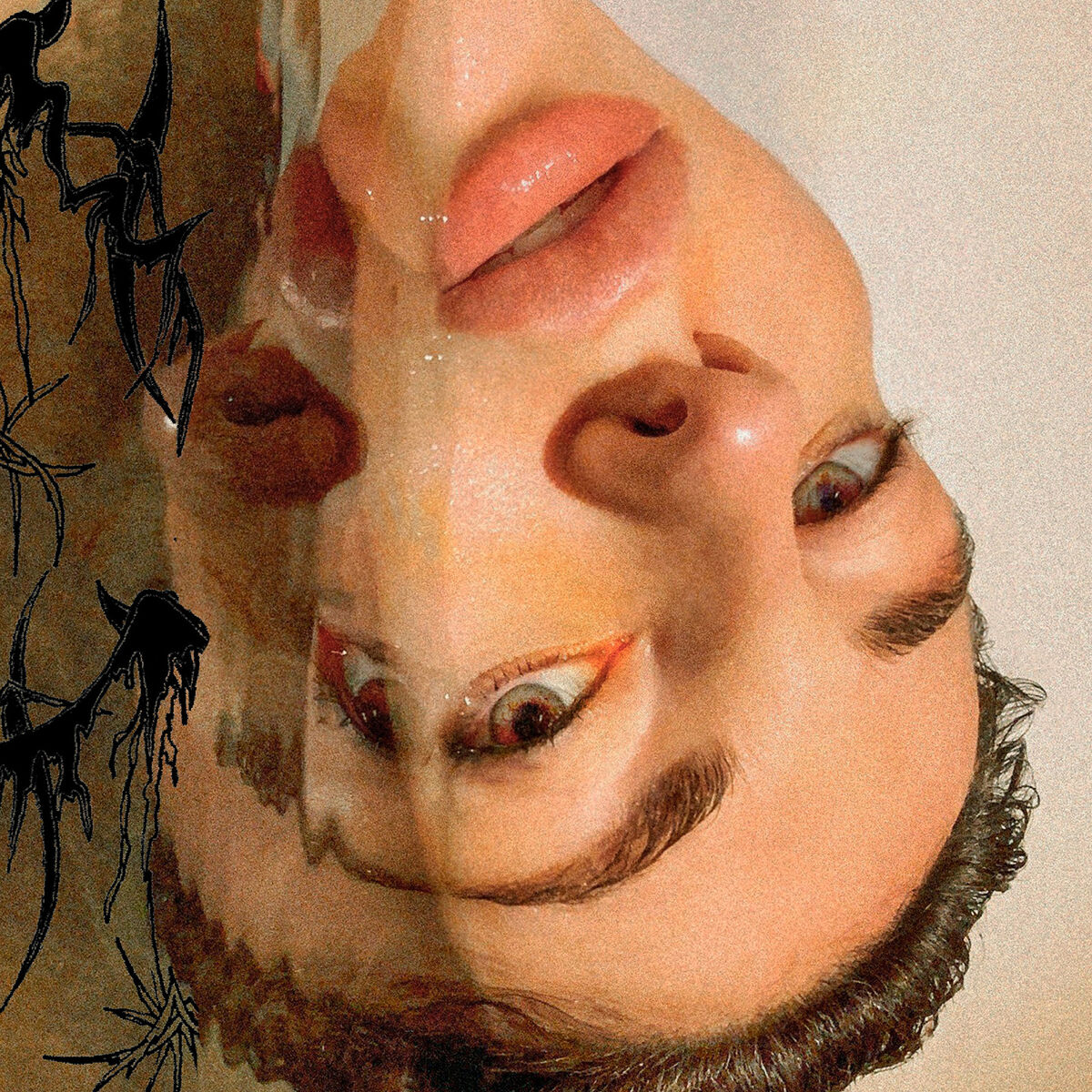 Album cover of SHAVI
