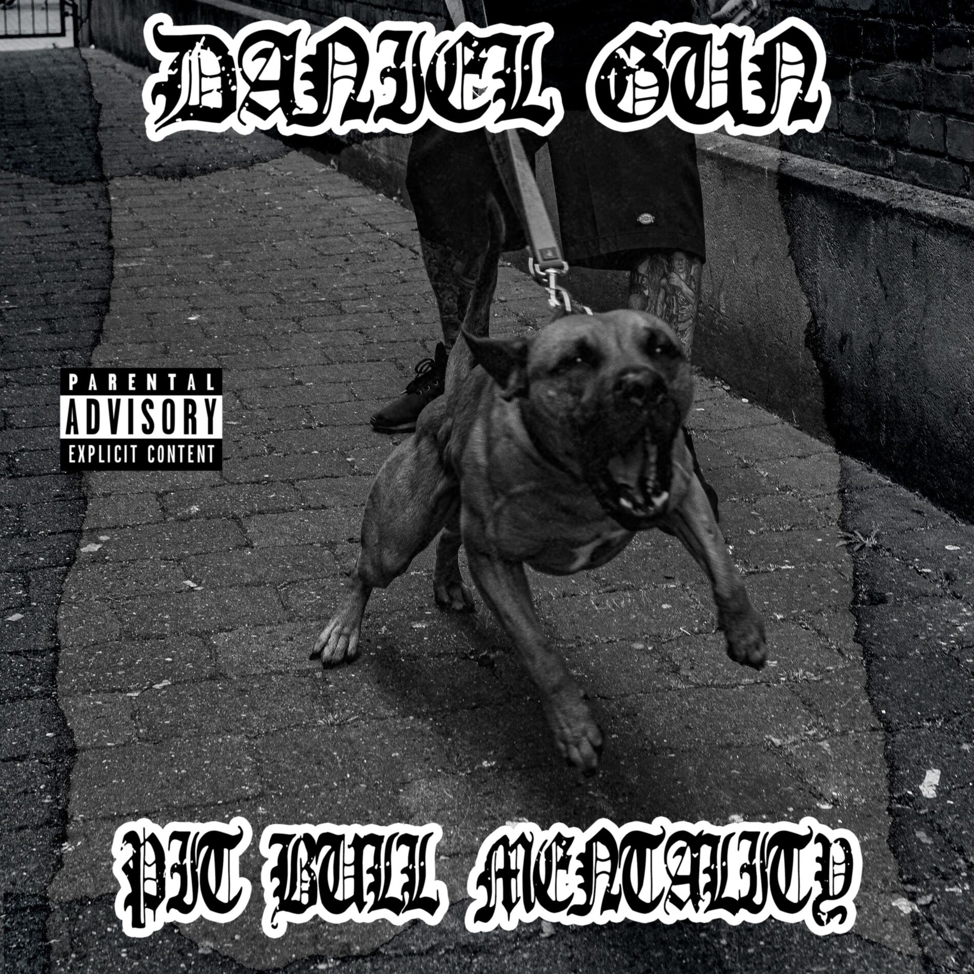 Album cover of Pit Bull Mentality