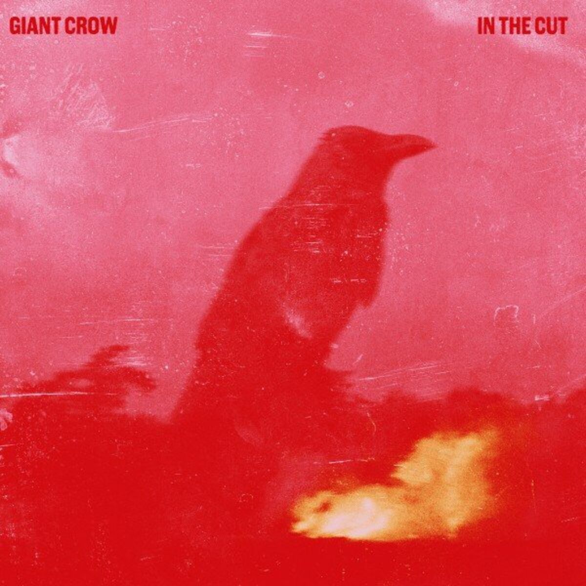 Album cover of In the Cut
