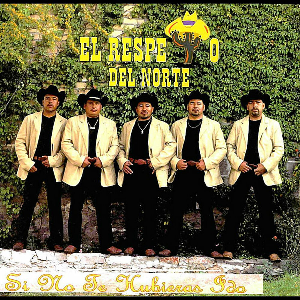 Picture of Si No Te Hubieras Ido