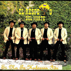 Cover of Si No Te Hubieras Ido