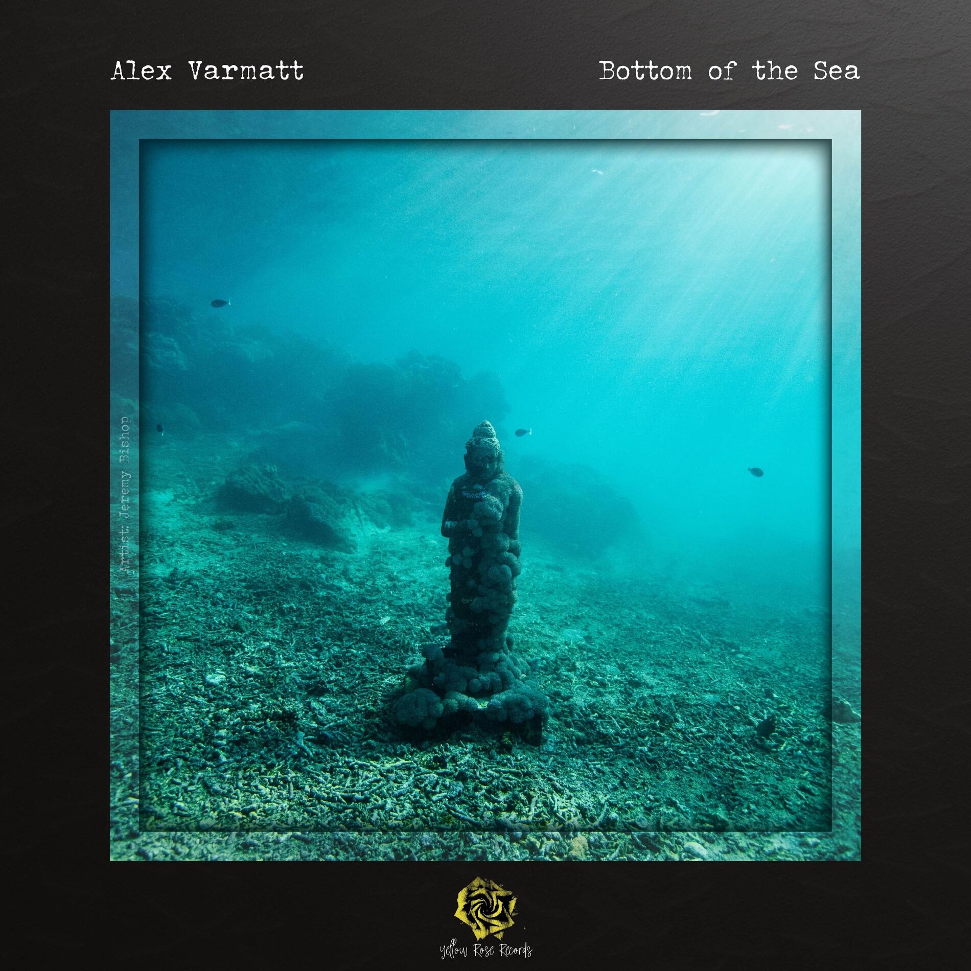 Album cover of Bottom of the Sea